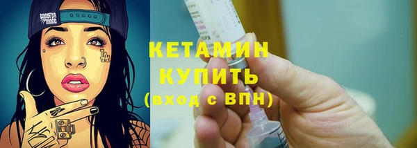 гидра Арсеньев