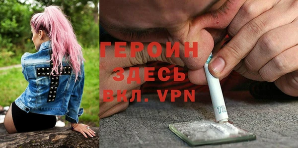 гидра Арсеньев