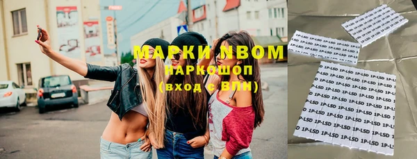 гидра Арсеньев