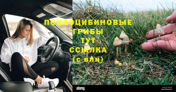 марки lsd Армянск
