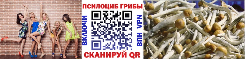 Галлюциногенные грибы MAGIC MUSHROOMS  Мещовск 